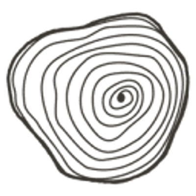 Satvana Conscious Co-living & Retreats
